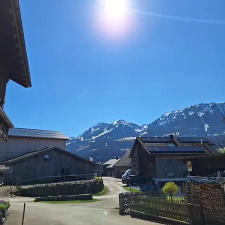 Muxel Apartment Grossdorf (Vorarlberg)