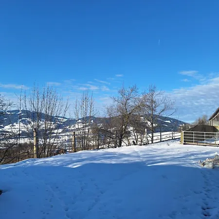 Muxel Apartment Grossdorf (Vorarlberg)