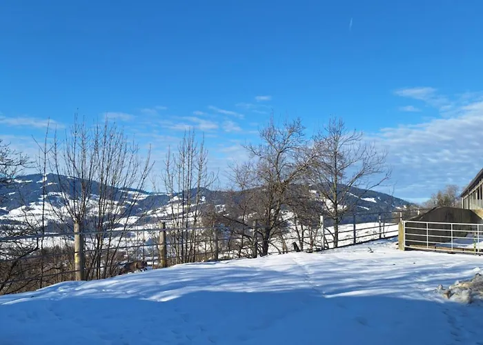 Muxel Apartment Grossdorf (Vorarlberg)